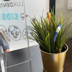 Detalle acceso a clínica Lux Dental